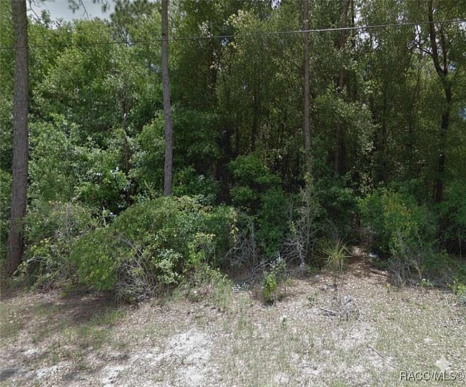 0.22 Acres of Residential Land for Sale in Inverness, Florida