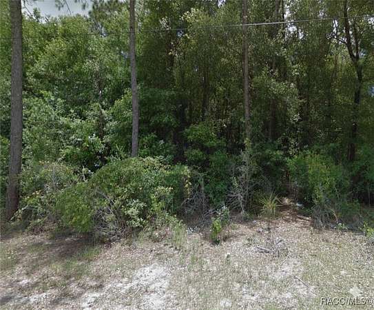 0.22 Acres of Residential Land for Sale in Inverness, Florida