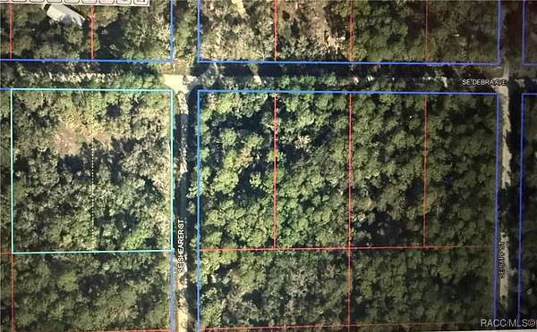 2 Acres of Residential Land for Sale in Inglis, Florida