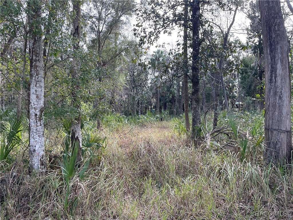 0.4 Acres of Residential Land for Sale in Homosassa, Florida