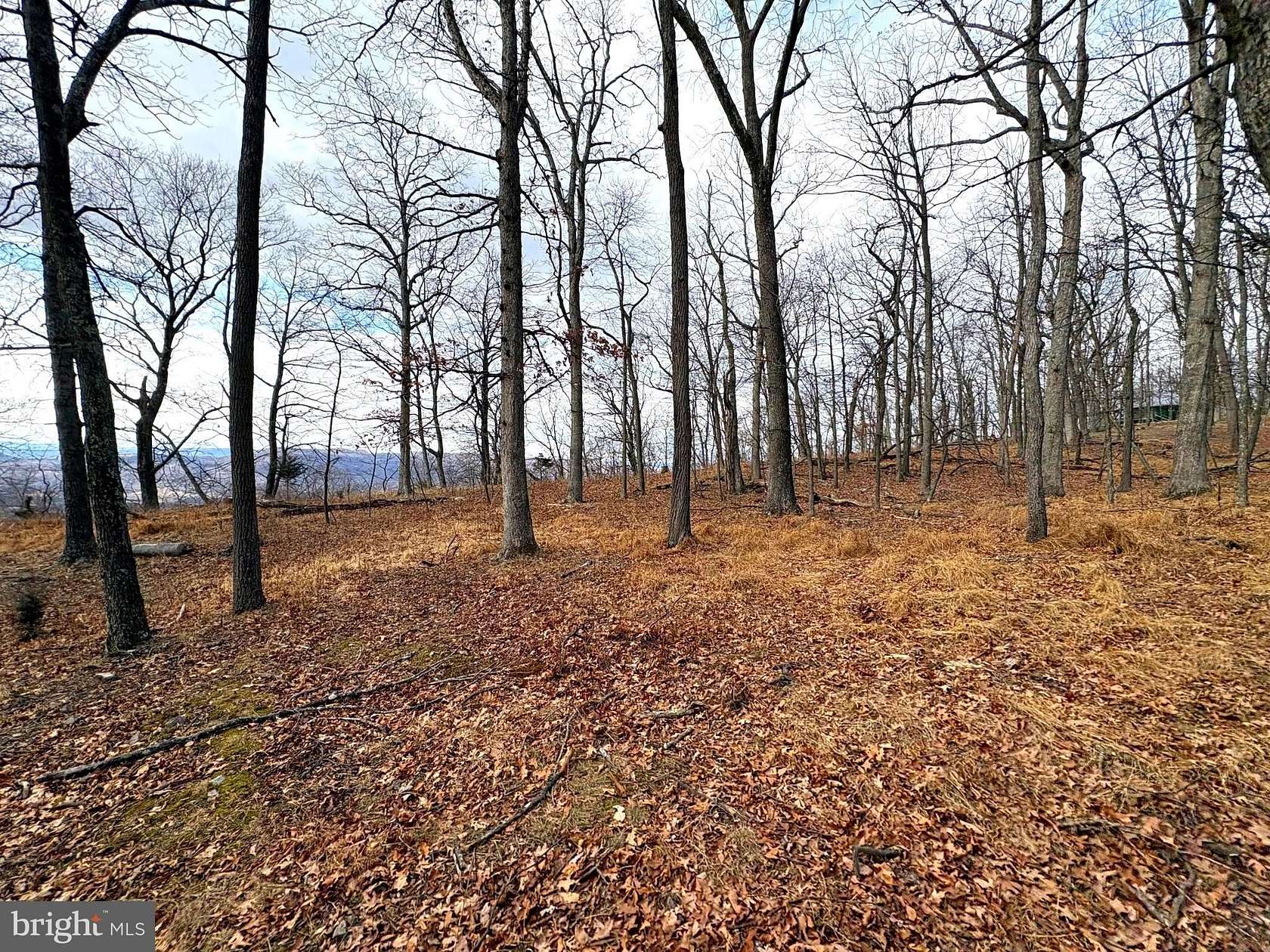 5.1 Acres of Residential Land for Sale in Old Fields, West Virginia