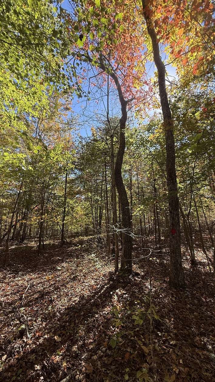 3.87 Acres of Land for Sale in Palmer, Tennessee