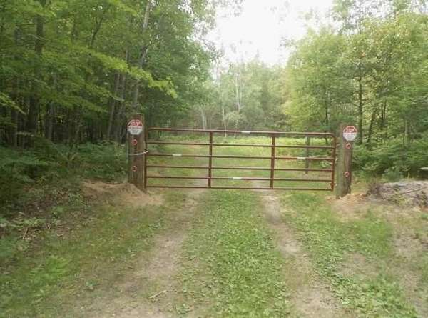 20 Acres of Recreational Land for Sale in Bitely, Michigan