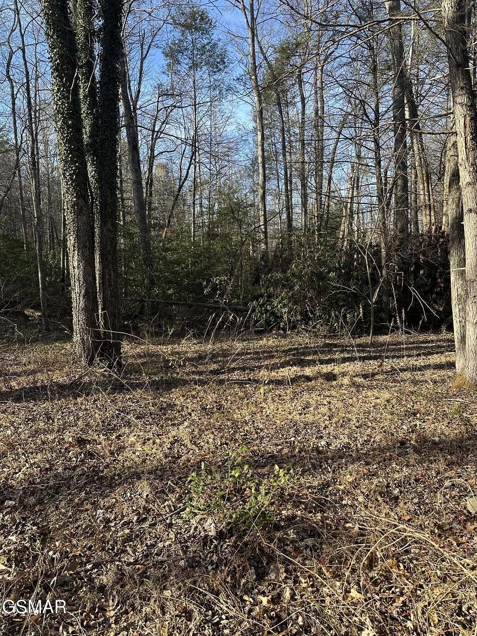 1.33 Acres of Residential Land for Sale in Cosby, Tennessee