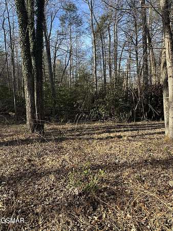 1.33 Acres of Residential Land for Sale in Cosby, Tennessee