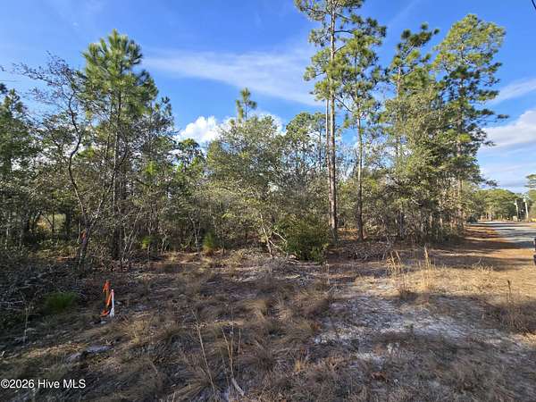 0.43 Acres of Residential Land for Sale in Southport, North Carolina