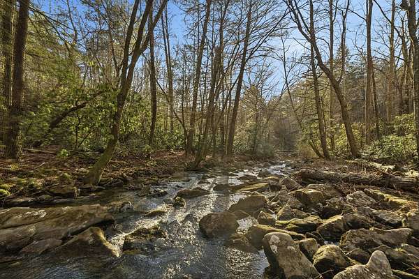 112 Acres of Recreational Land for Sale in Bryant, Alabama