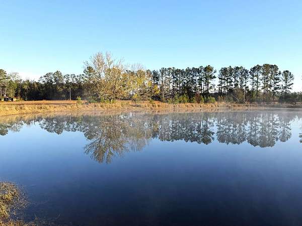 173 Acres of Recreational Land for Auction in Statesboro, Georgia