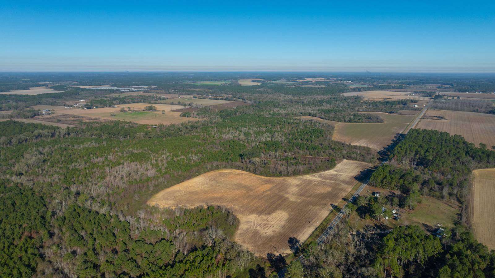 253 Acres of Land for Auction in Norman Park, Georgia
