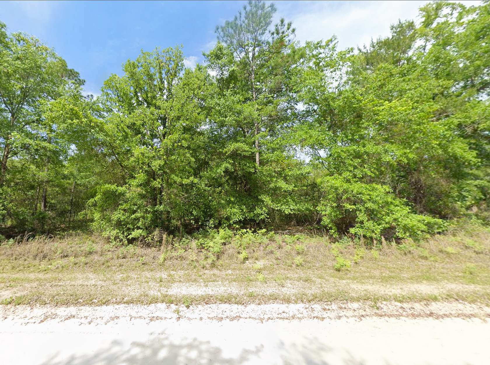 10 Acres of Land for Sale in Lake City, Florida