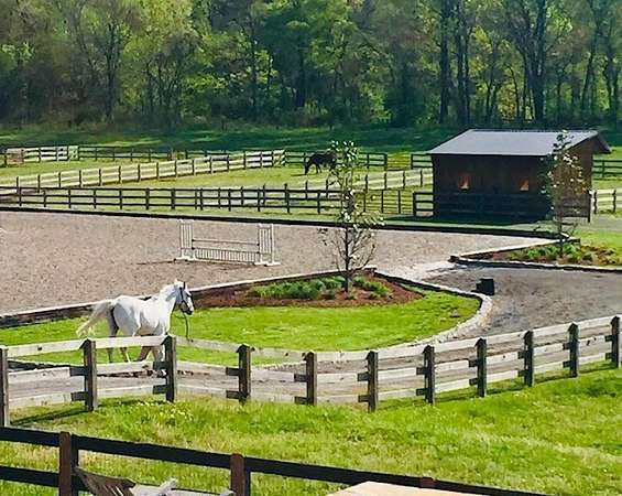 16.1 Acres of Agricultural Land for Sale in Franklin, Tennessee