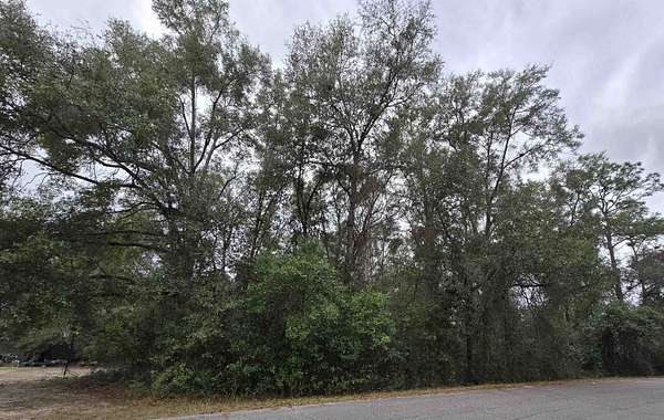 0.6 Acres of Residential Land for Sale in Tallahassee, Florida