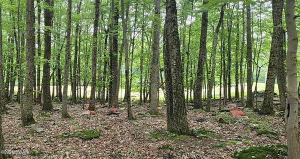 0.96 Acres of Residential Land for Sale in Greentown, Pennsylvania