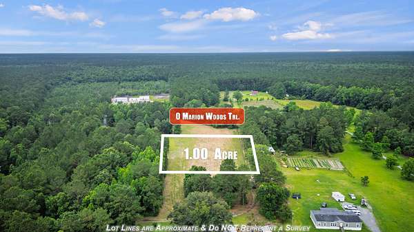1 Acre of Residential Land for Sale in Bonneau, South Carolina