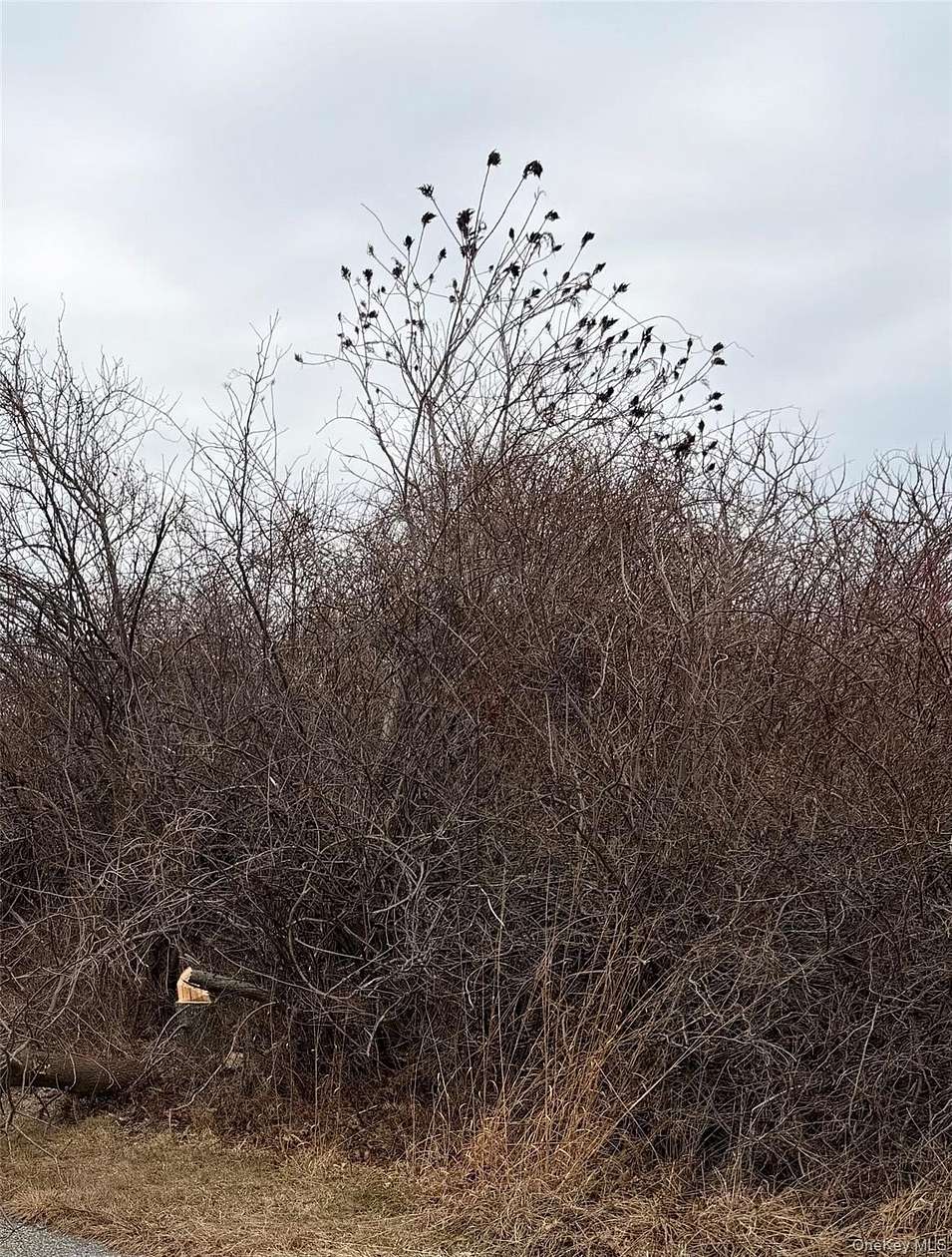 0.8 Acres of Residential Land for Sale in Montauk, New York