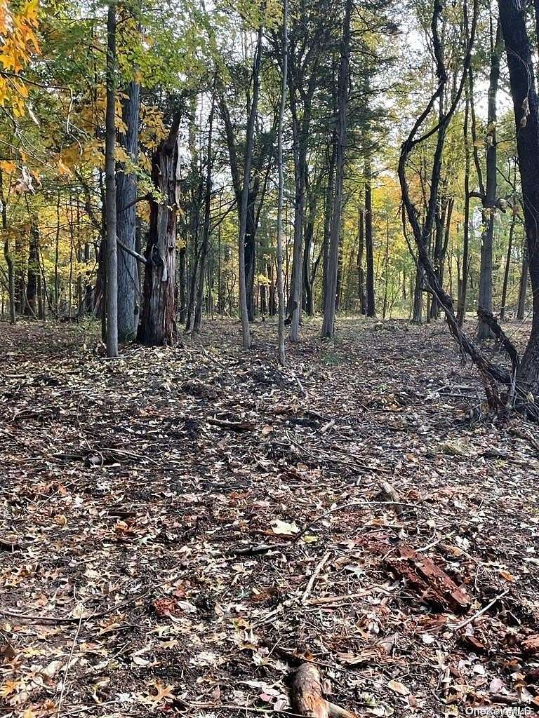 0.27 Acres of Land for Sale in Athens, New York