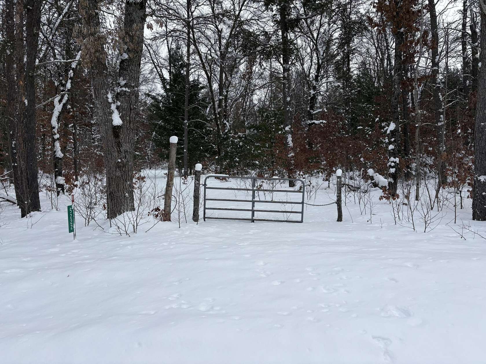 5 Acres of Recreational Land for Sale in Idlewild, Michigan