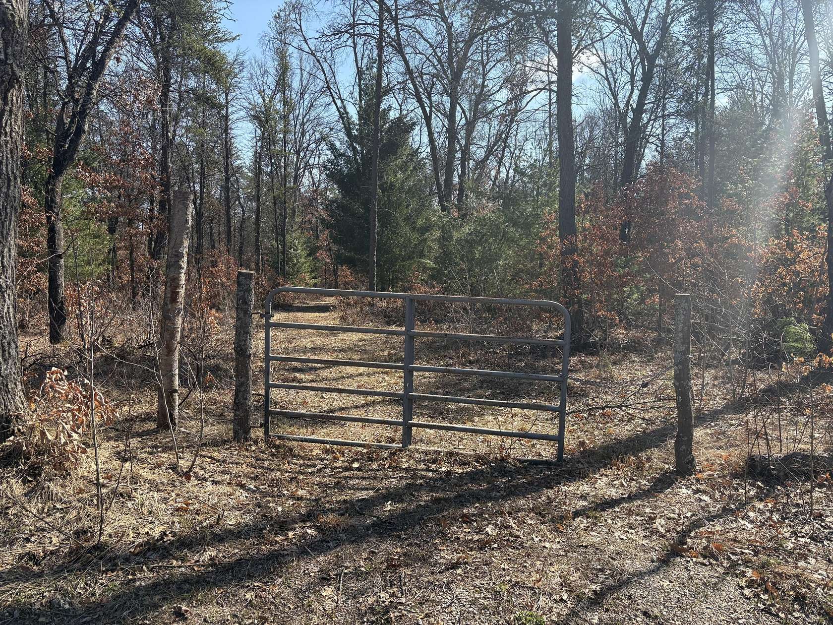 5 Acres of Recreational Land for Sale in Idlewild, Michigan