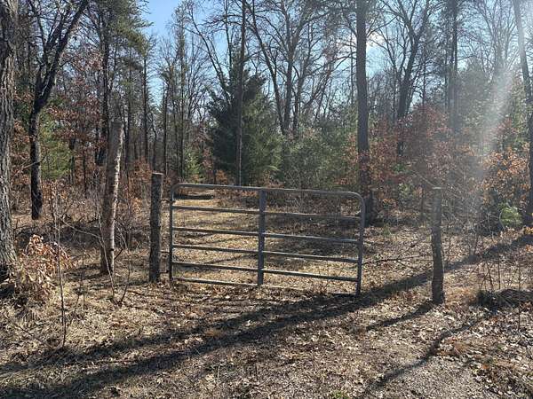 5 Acres of Recreational Land for Sale in Idlewild, Michigan