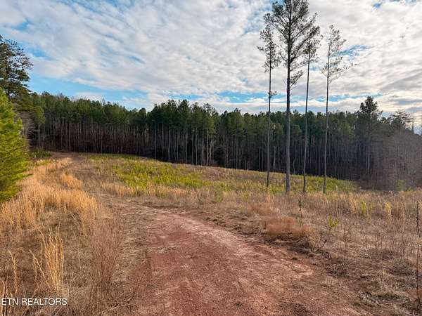 12 Acres of Land for Sale in Vonore, Tennessee