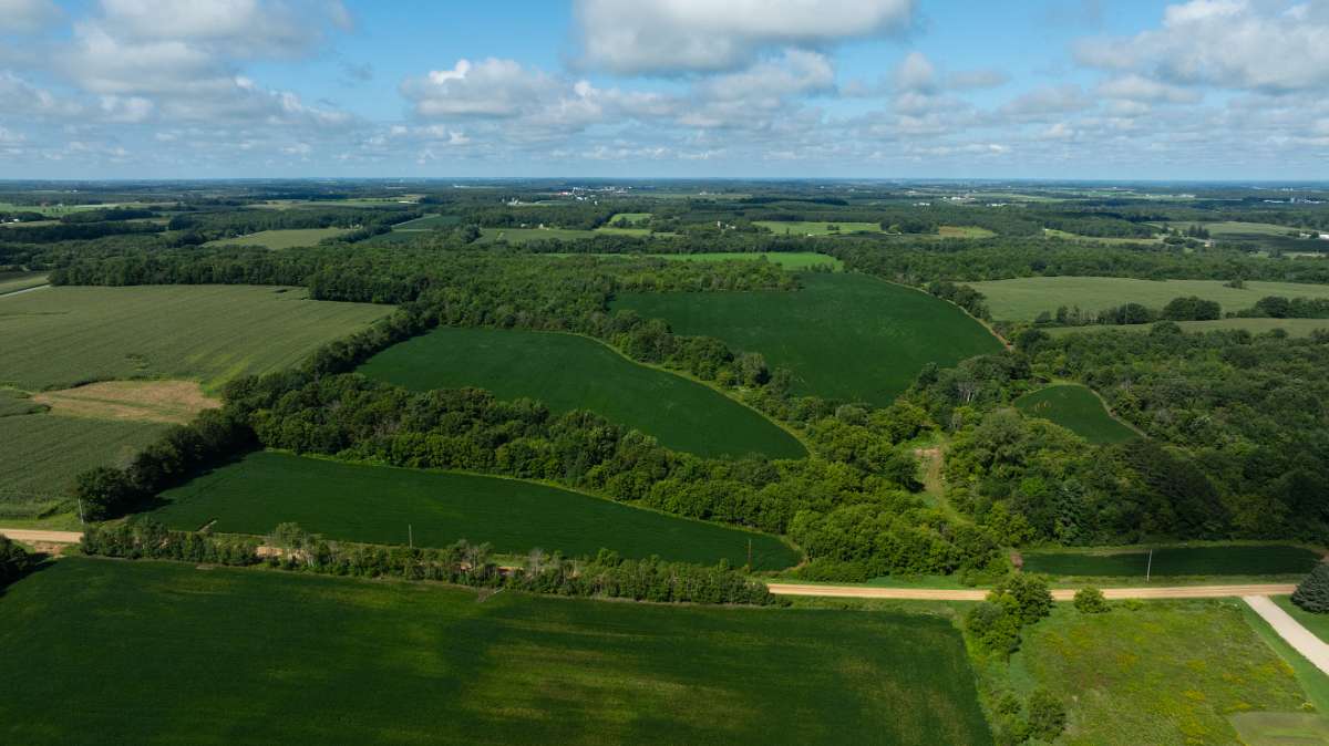 40 Acres of Land for Sale in Glenwood Town, Wisconsin