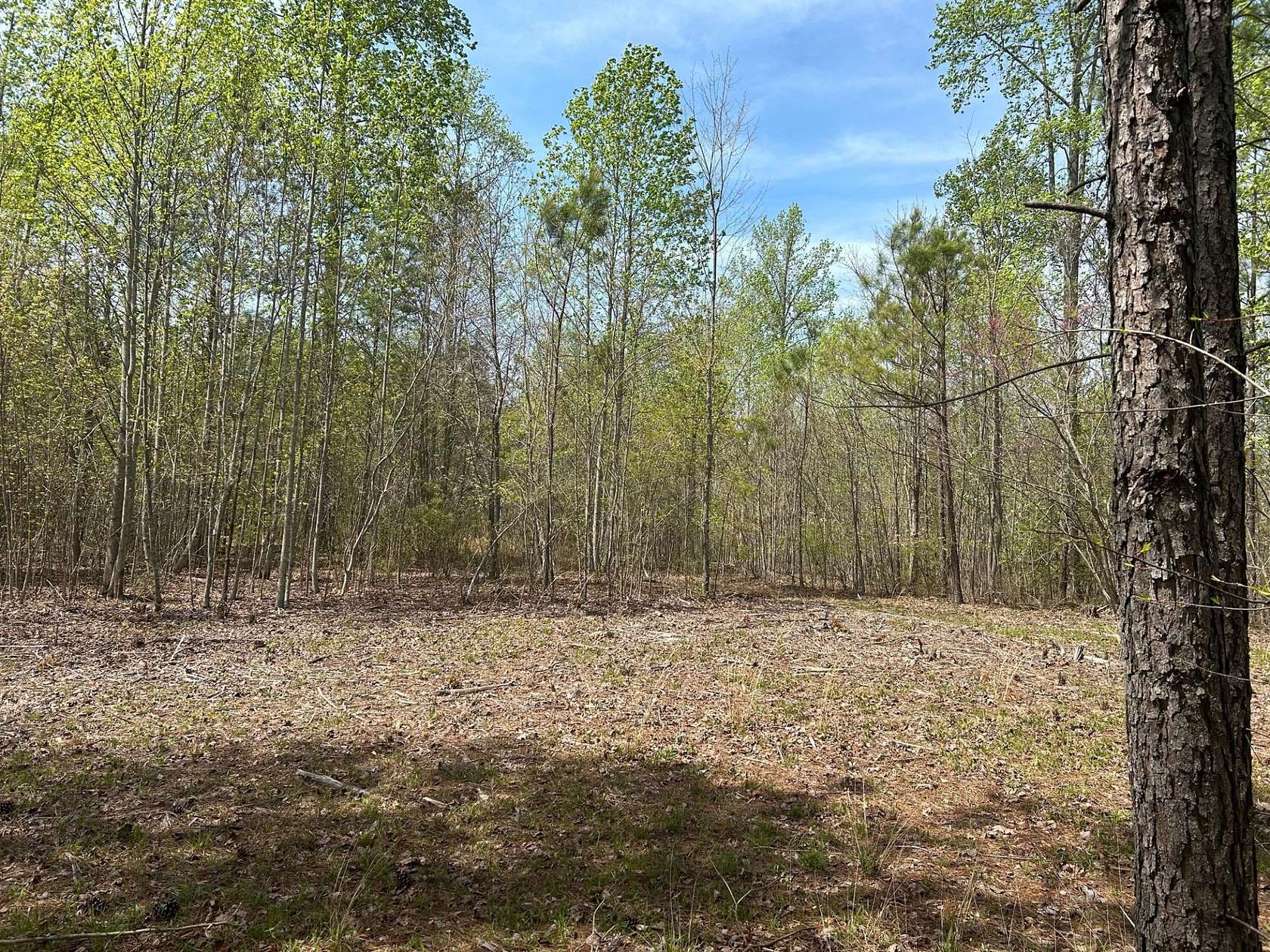 1.83 Acres of Residential Land for Sale in Jasper, Tennessee