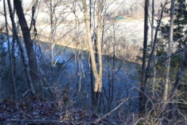 5.52 Acres of Residential Land for Sale in Celina, Tennessee