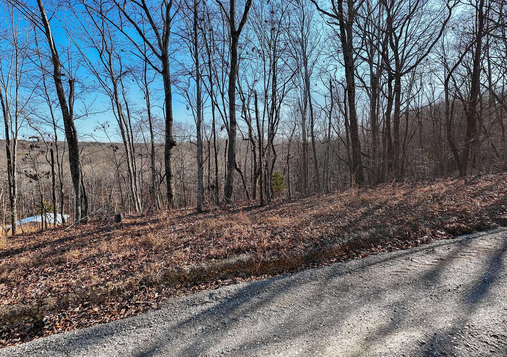 26.9 Acres of Land for Sale in Pikeville, Tennessee