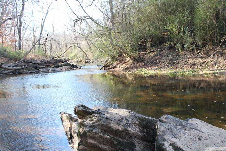 22.8 Acres of Recreational & Residential Land for Auction in Star, North Carolina