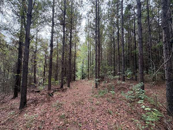 69 Acres of Recreational Land for Sale in Banks, Alabama