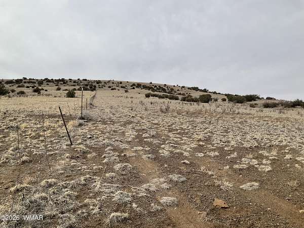 38.1 Acres of Land for Sale in Vernon, Arizona