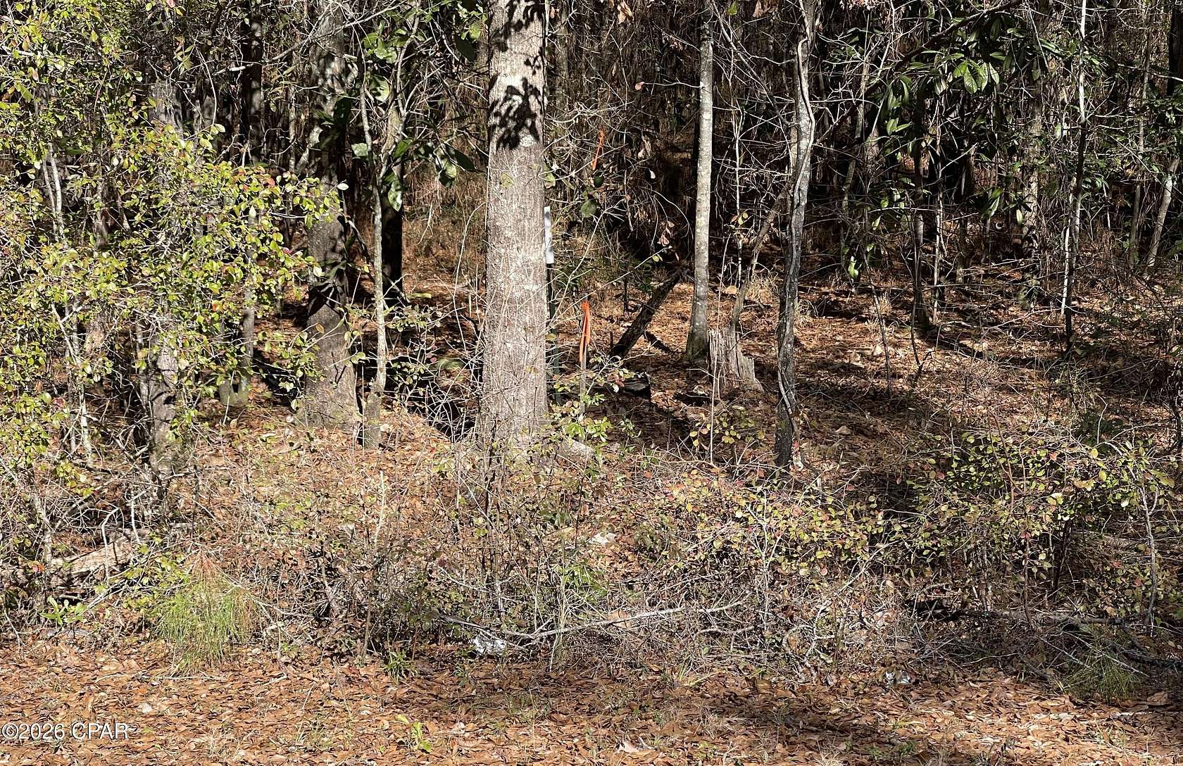 1 Acre of Residential Land for Sale in Cottondale, Florida