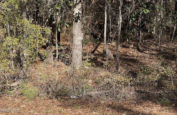 1 Acre of Residential Land for Sale in Cottondale, Florida