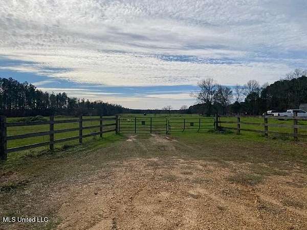 35 Acres of Improved Agricultural Land for Sale in Magnolia, Mississippi