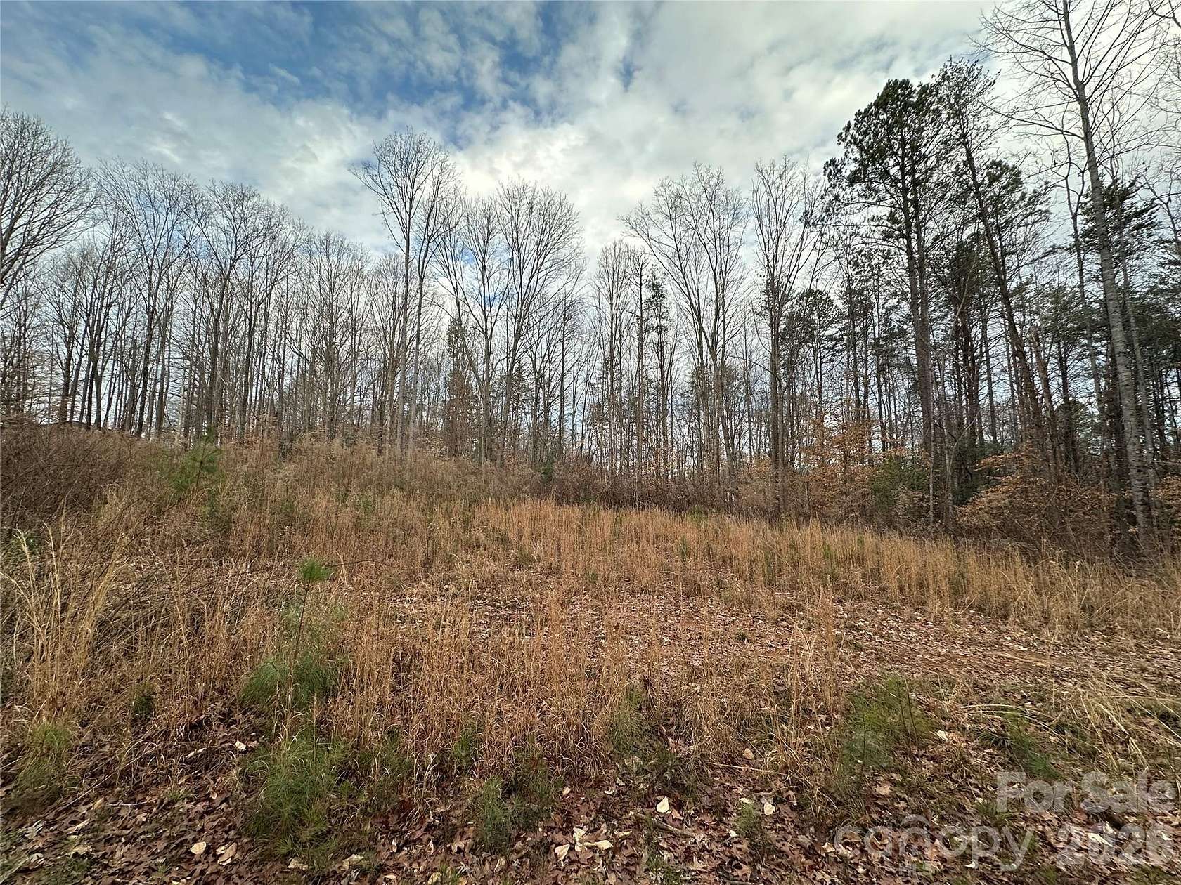 10.2 Acres of Land for Sale in Catawba, North Carolina