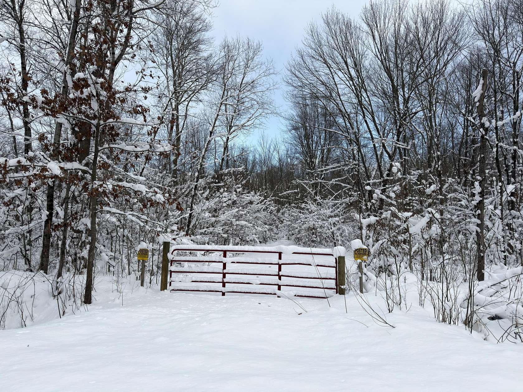 40 Acres of Recreational Land for Sale in Sweetwater Township, Michigan