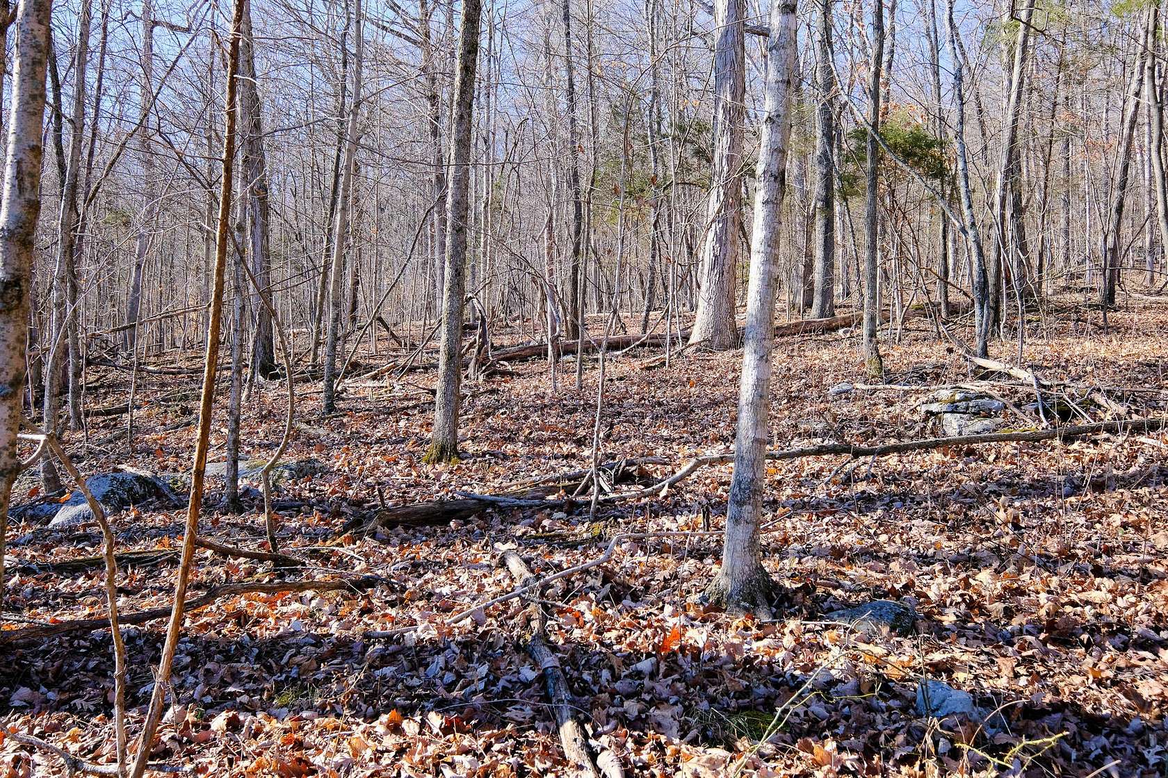 4.5 Acres of Residential Land for Sale in Somerset, Kentucky