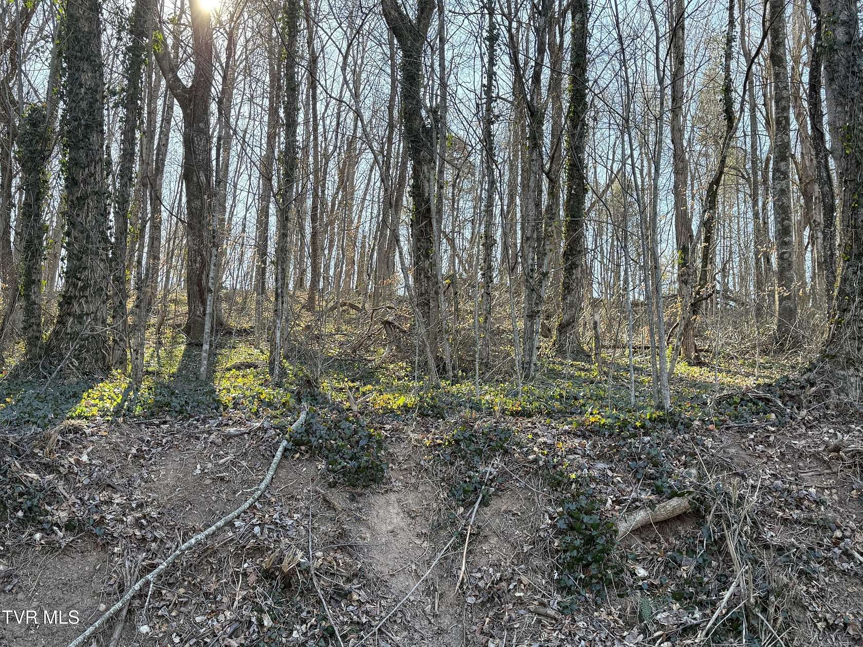 4 Acres of Residential Land for Sale in Elizabethton, Tennessee