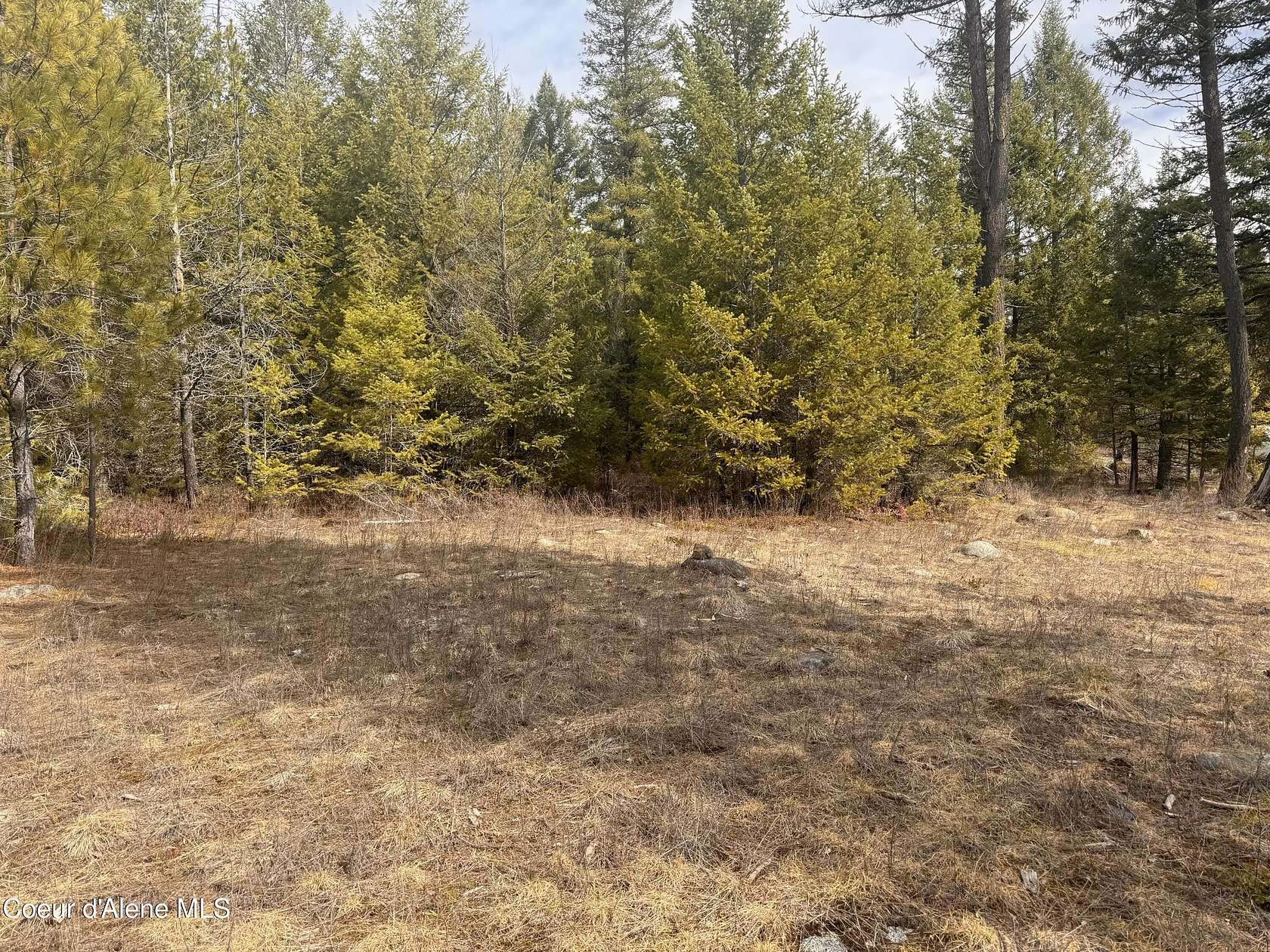 4.25 Acres of Residential Land for Sale in Athol, Idaho