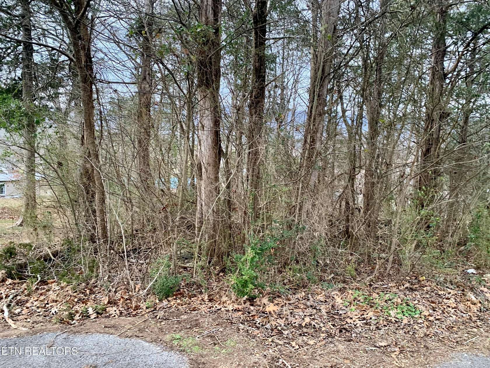 0.34 Acres of Residential Land for Sale in Harrogate, Tennessee