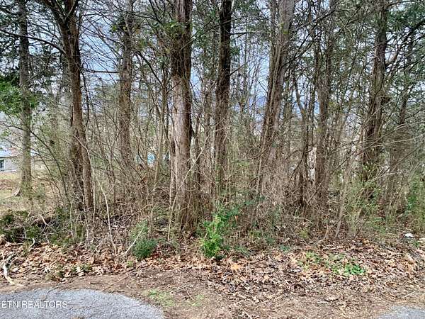 0.34 Acres of Residential Land for Sale in Harrogate, Tennessee