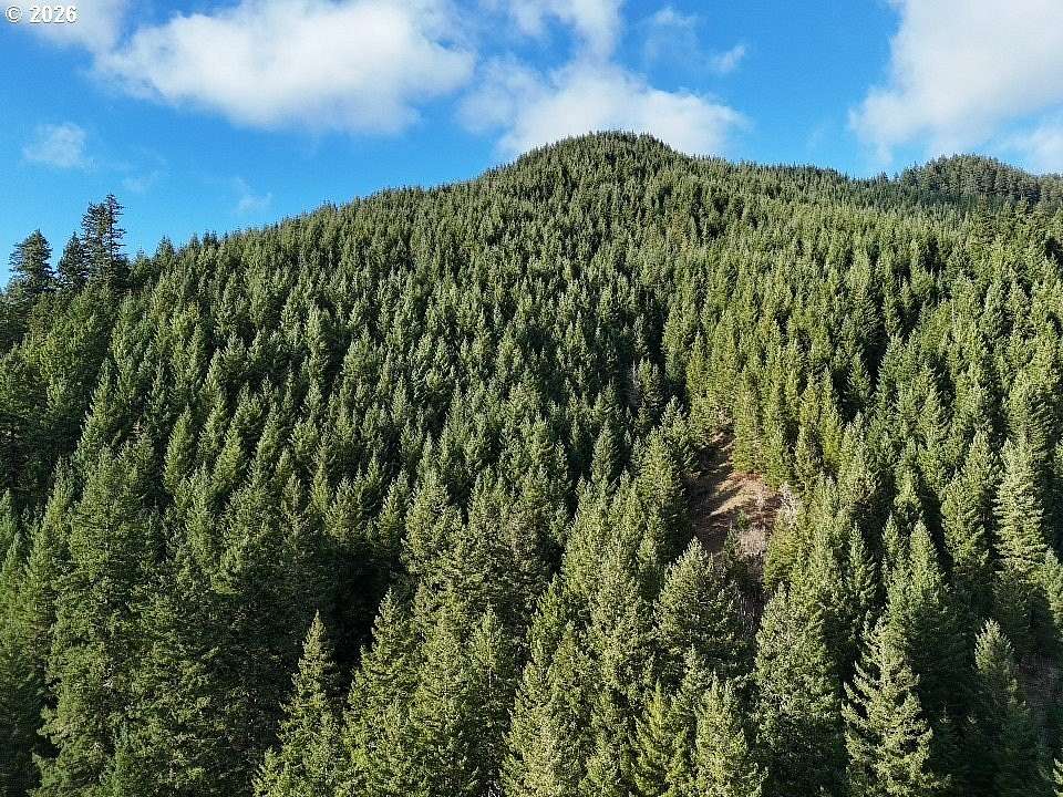 2.24 Acres of Residential Land for Sale in Carson, Washington