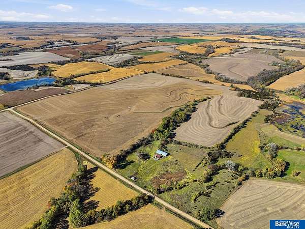 160 Acres of Agricultural Land for Sale in Bee, Nebraska