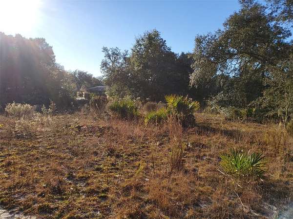 1 Acre of Residential Land for Sale in Bronson, Florida