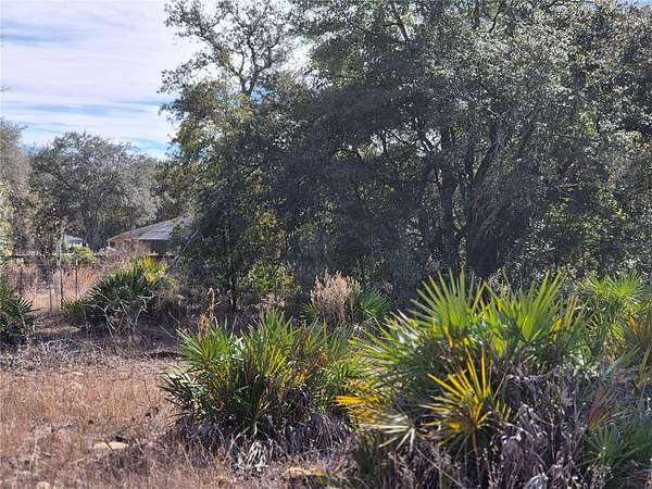 1 Acre of Residential Land for Sale in Bronson, Florida