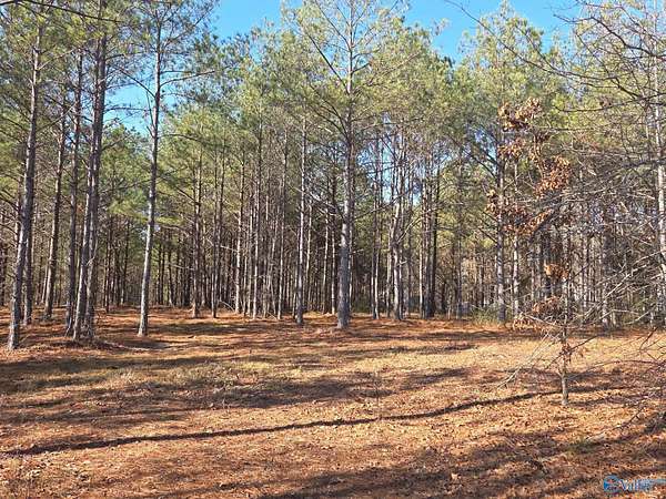 5.6 Acres of Commercial Land for Sale in Centre, Alabama