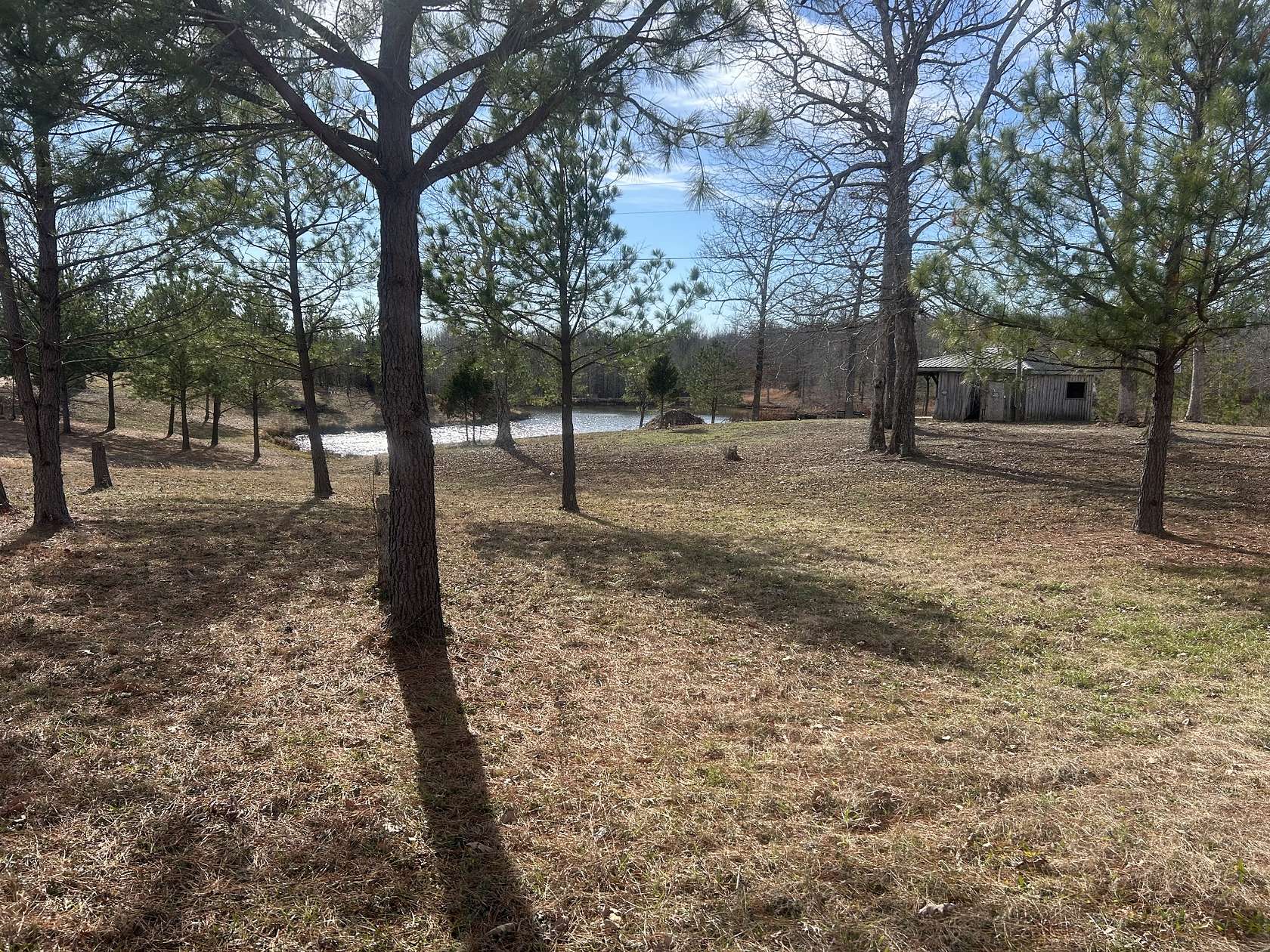 12 Acres of Land for Sale in Big Sandy, Tennessee