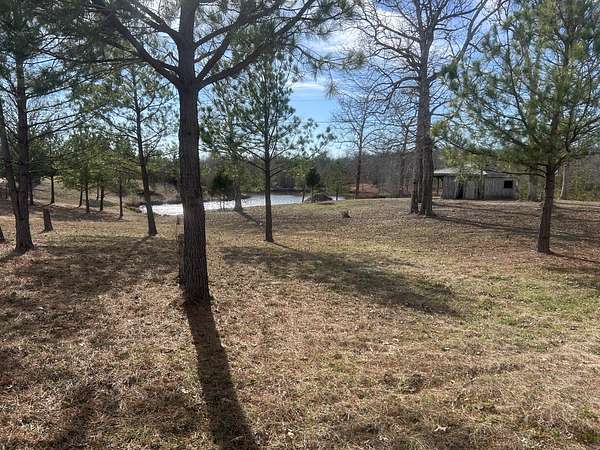 12 Acres of Land for Sale in Big Sandy, Tennessee