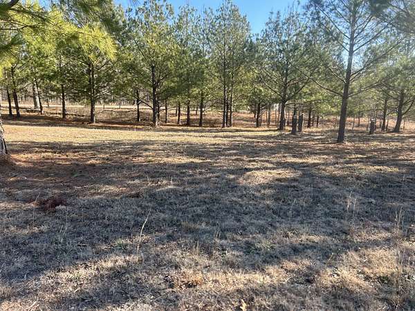 4 Acres of Residential Land for Sale in Big Sandy, Tennessee