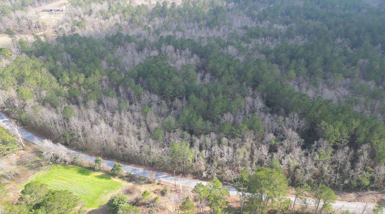 30 Acres of Recreational Land for Sale in Magee, Mississippi